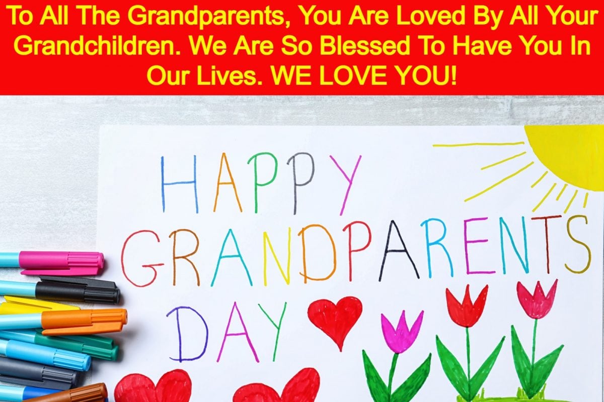 Latest News on grandparents day TrendDekho
