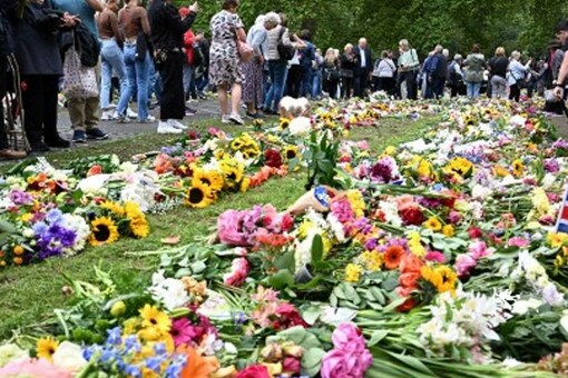 Members of the public look at flowers and tributes left in Green Park in London on September 15, 2022, following the death of Queen Elizabeth II (Image:AFP)