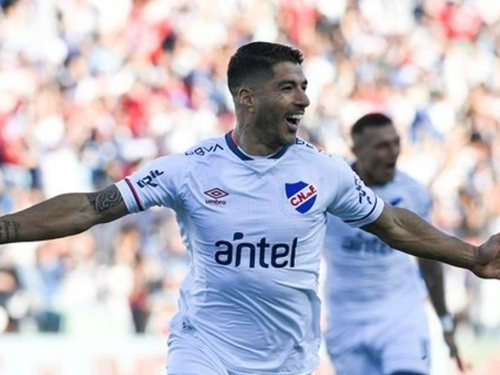 Comparisonator - Bests of Uruguayan Primera División in 5