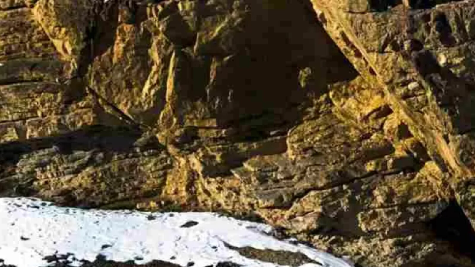 Optical Illusion: Can You Trace The Hidden Snow Leopard in 13 Seconds