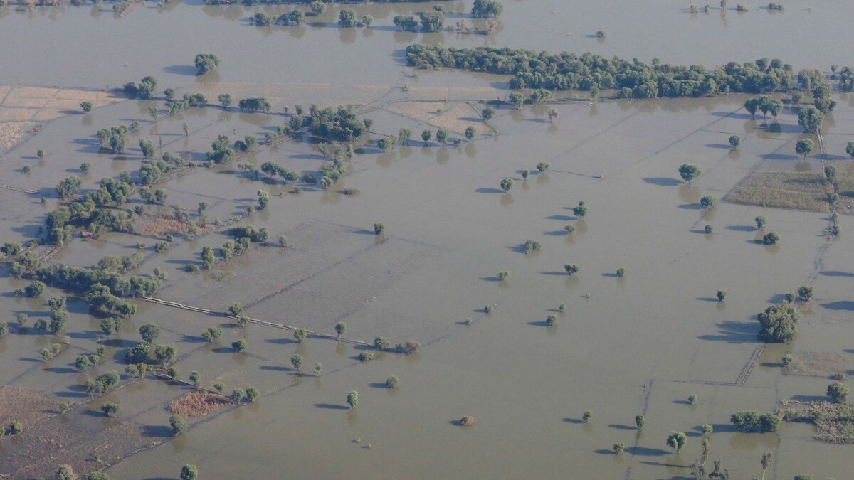 Death Toll in Pakistan Floods Nears 1,500; Hundreds of Thousands Sleep in Open