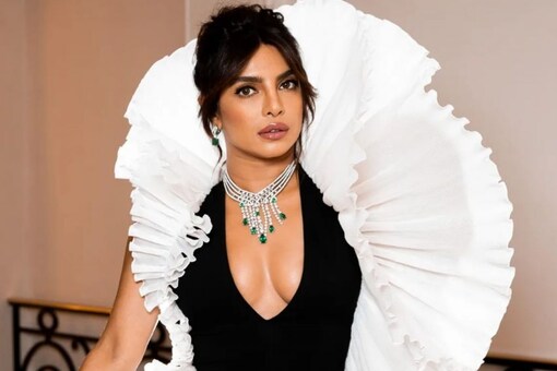 Priyanka Chopra starrer Citadel is set to become the second most expensive series of all time.