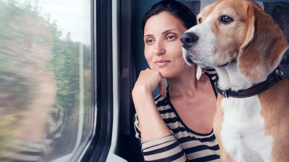 Planning a Train Journey with Pet? Here's How to Travel with Your Pet