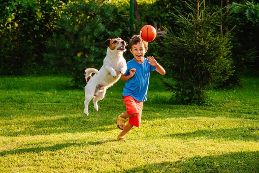 Here are a few tips on how you can, educate your kids about pet care