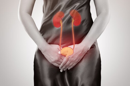 It is believed that cinnamon might have an impact on the bacteria causing UTIs especially in long- term catheter users