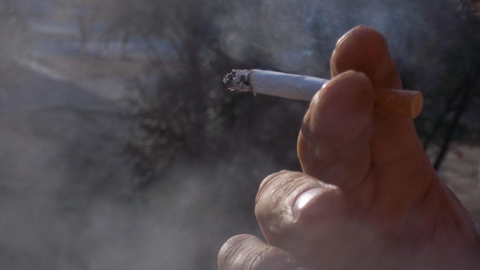 Lifestyle Changes, Smoking Has Led To Rise in Diseases in Tribal Districts Experts