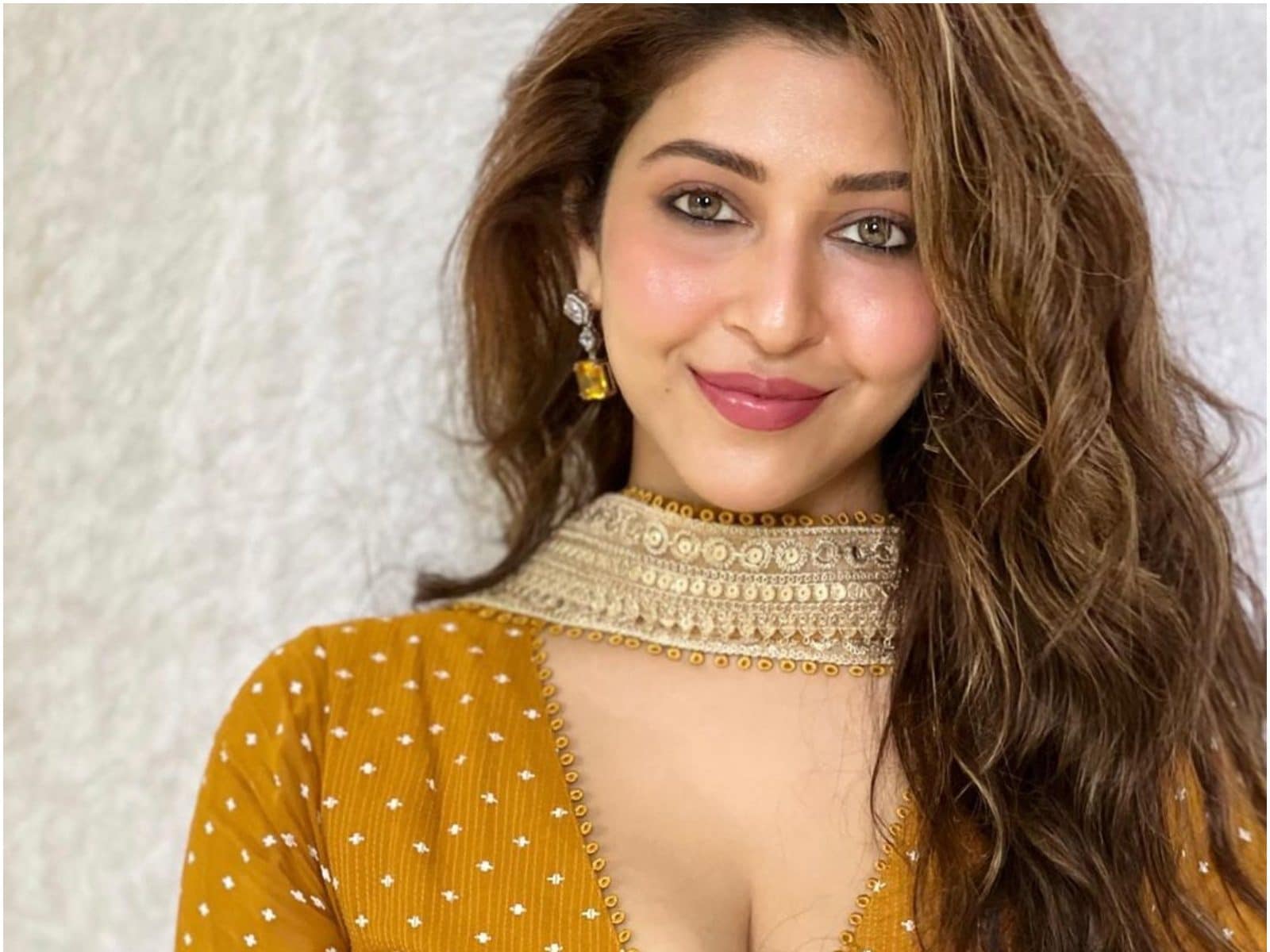 Sonarika Bhadoriaxxx - Sonarika Bhadoria Excited About Her Next Leg in Entertainment Industry:  'Starting My Second Innings' - News18