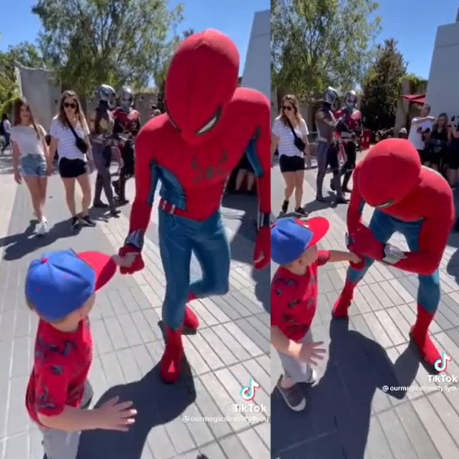 There He is': Little Boy With Spiderman Hat Meets His Superhero in Adorable  Video