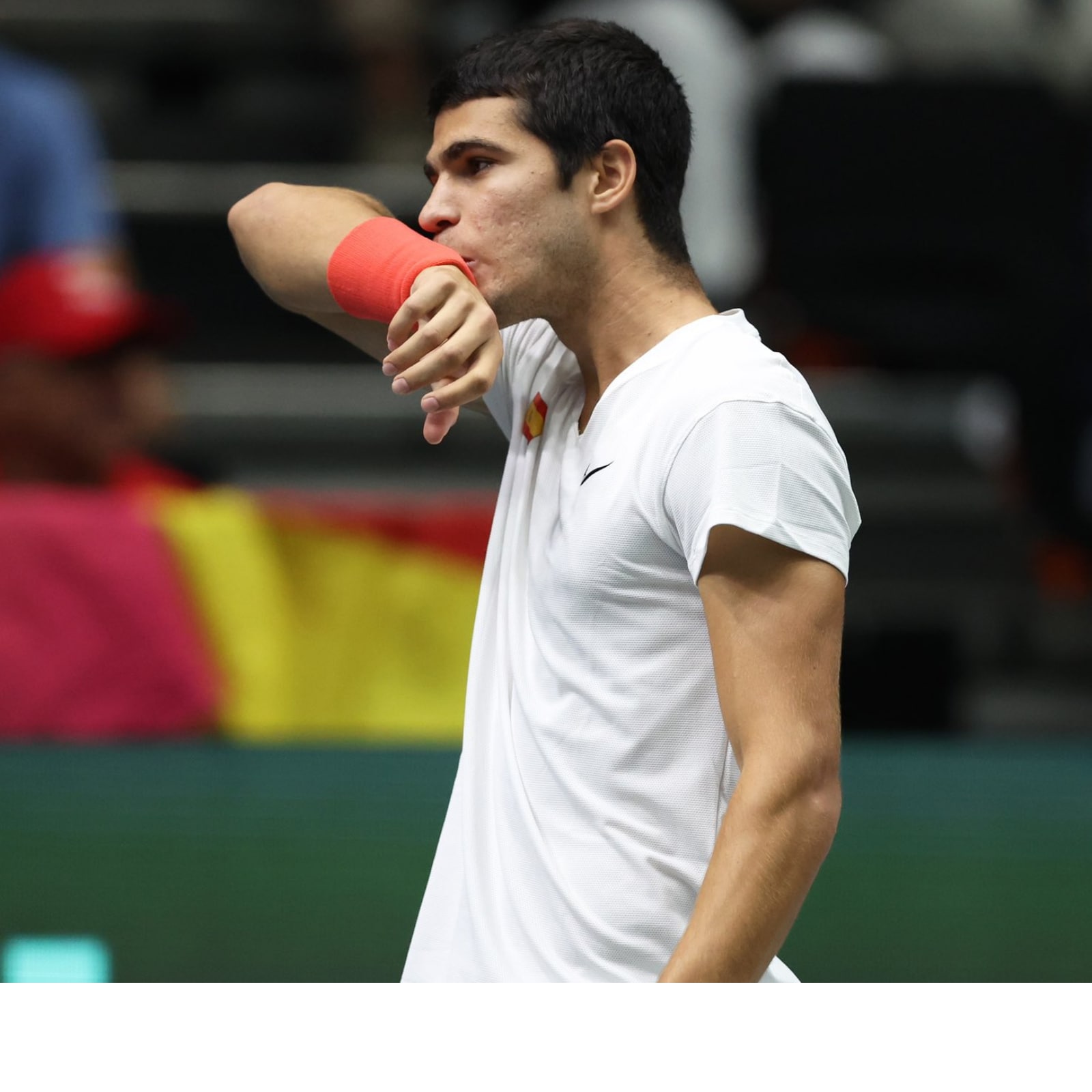Italy and Germany Advance in Davis Cup, Carlos Alacaraz has Losing Homecoming