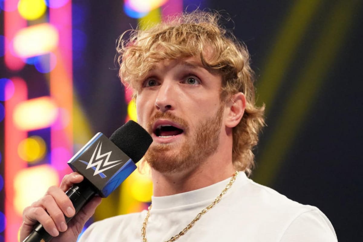WWE Champion Roman Reigns Says Jake, Logan Paul Have 'Put in the Work