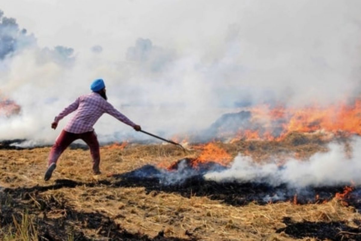 9% Rise in Punjab Farm Fires from Last Year, CAQM Terms It 'Serious Concern', Pegs 6 'Hotspot Districts'