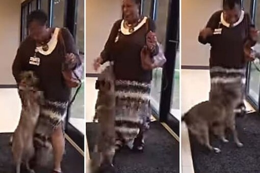 Watch: Woman's Happy Dance On Reunion With Her Dog Watch: Woman's Happy Dance On Reunion With Her Dog