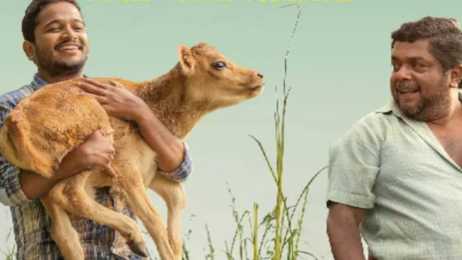 Malayalam Film Palthu Janwar Has Both Animal Welfare And Human Interest At  Its Heart - News18