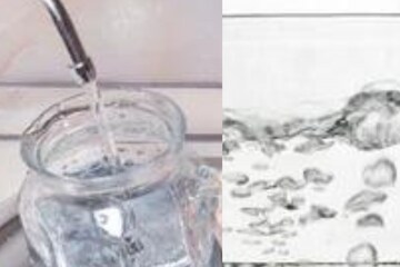 Boiled Water vs. Filtered Water