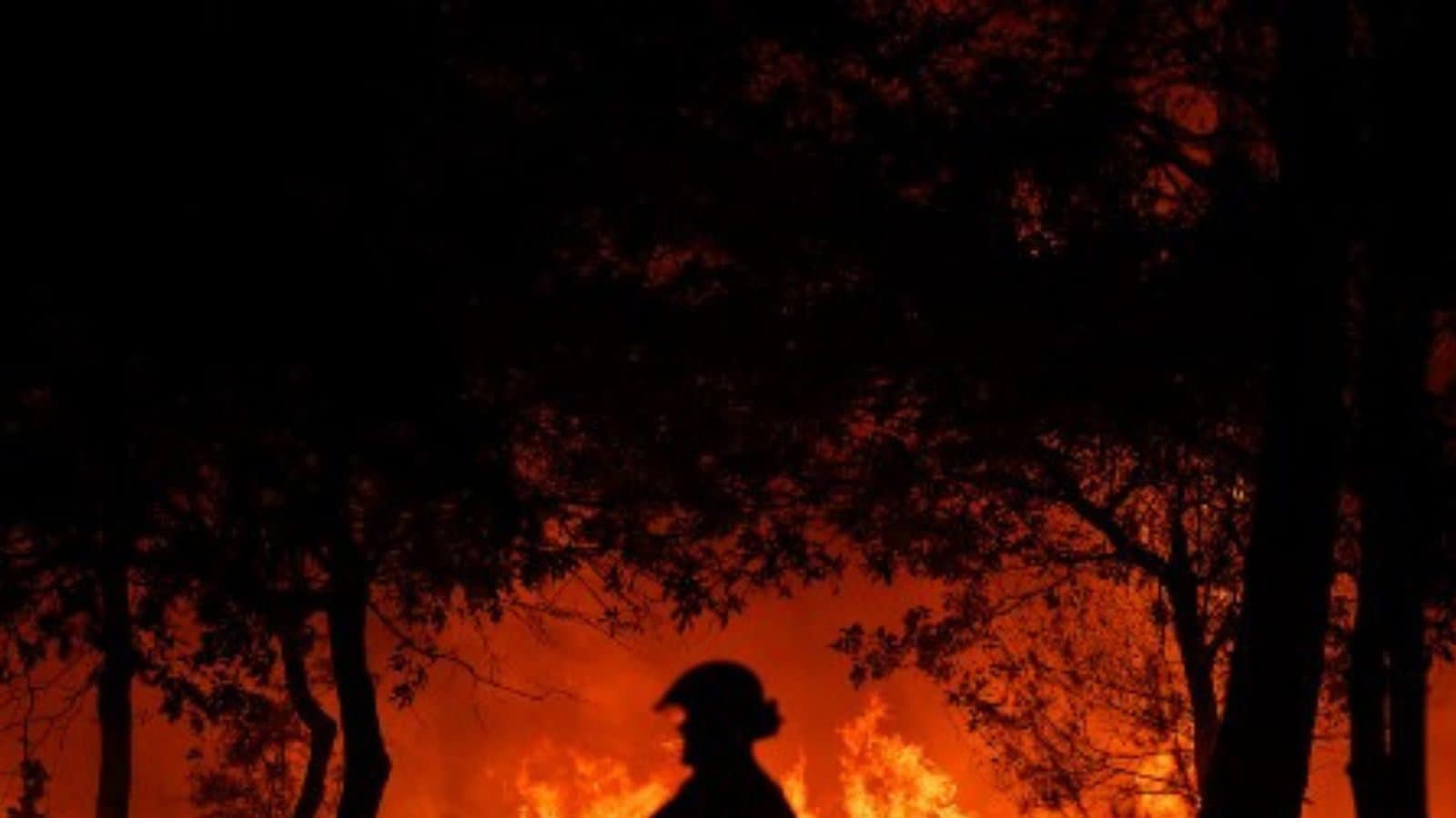 At Least 23 Dead as Dozens of Wildfires Torch Forests in Chile