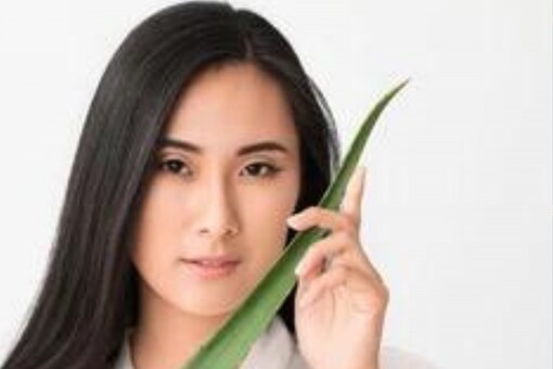 Significant Benefits Of Using Aloe Vera Significant Benefits Of Using Aloe Vera