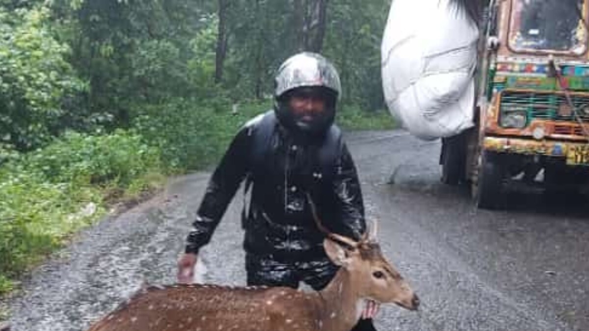 Black Buck Goes on Hunger Strike Under Custody of Andhra Forest Officials; Is Sent Back to Guardian