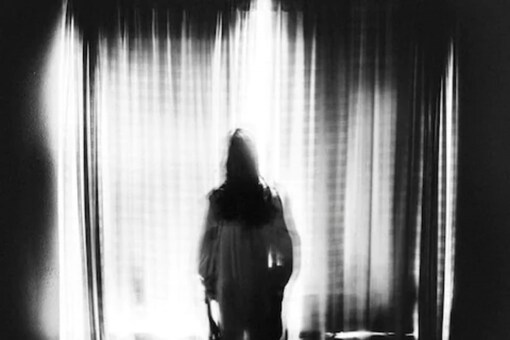 Although they initially suspected the landlord, they also believed it was a ghost since the figure was not visible. 