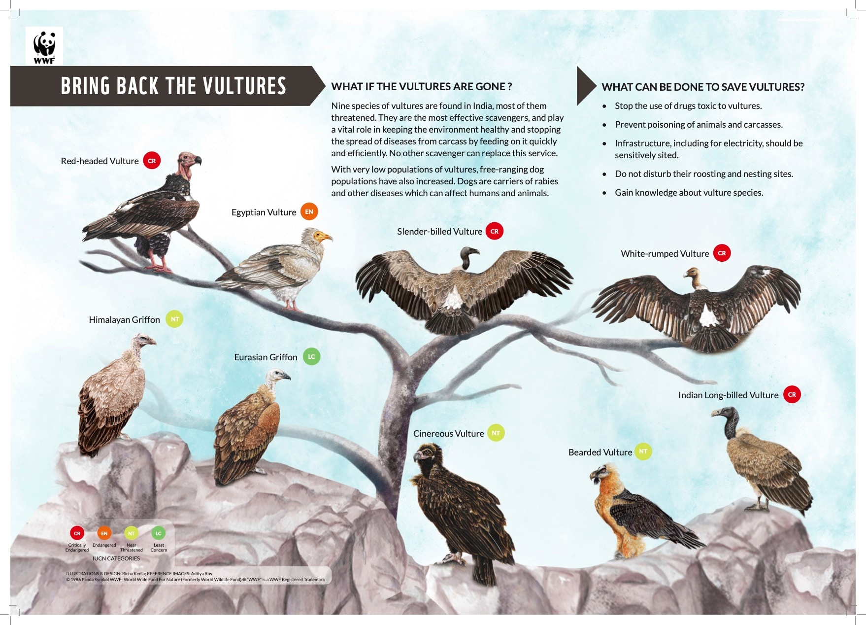 WWF India Launches “Bring Back The Vulture” Poster To Safeguard The ...