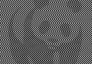 Optical Illusion: Can You Find The Panda Here? | Buzz News - News18