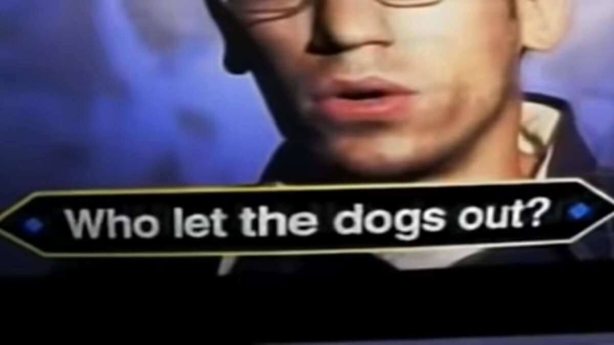 Kidz Bop Who Let The Dogs Out 'Who Let The Dogs Out?' The Question Has Finally Been Answered After