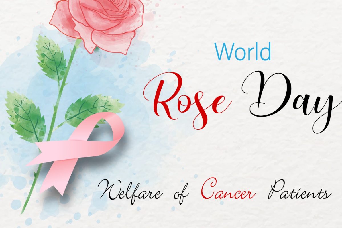 Why is World Rose Day Celebrated? History, Significance and ...