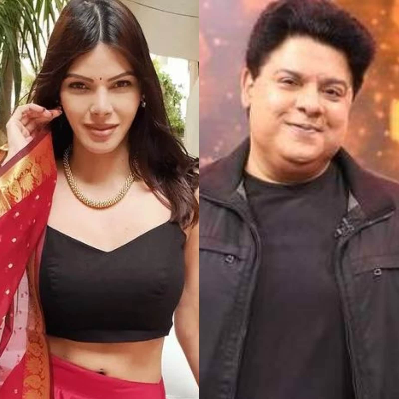 Priyanka Chopra And Salman Khan Xxx Hd - Sherlyn Chopra Requests Salman Khan To Take A Stand on Sajid Khan  Controversy - News18