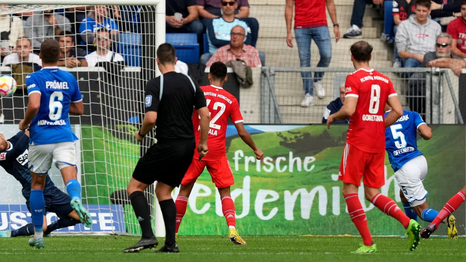 Bayern Munich One Point From Top Spot after Hoffenheim Win