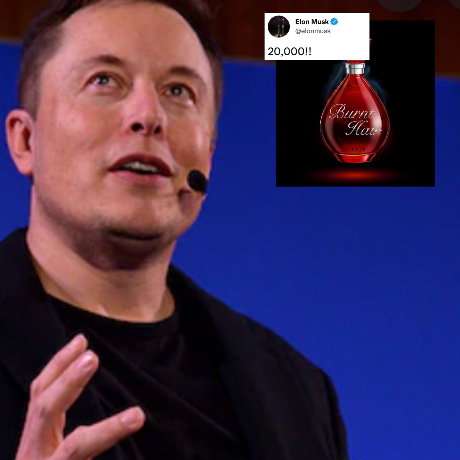 Elon Musk's 'Burnt Hair' Perfume Has Already Sold 20K Bottles, Tesla CEO  Says, 'Can Buy Twitter'