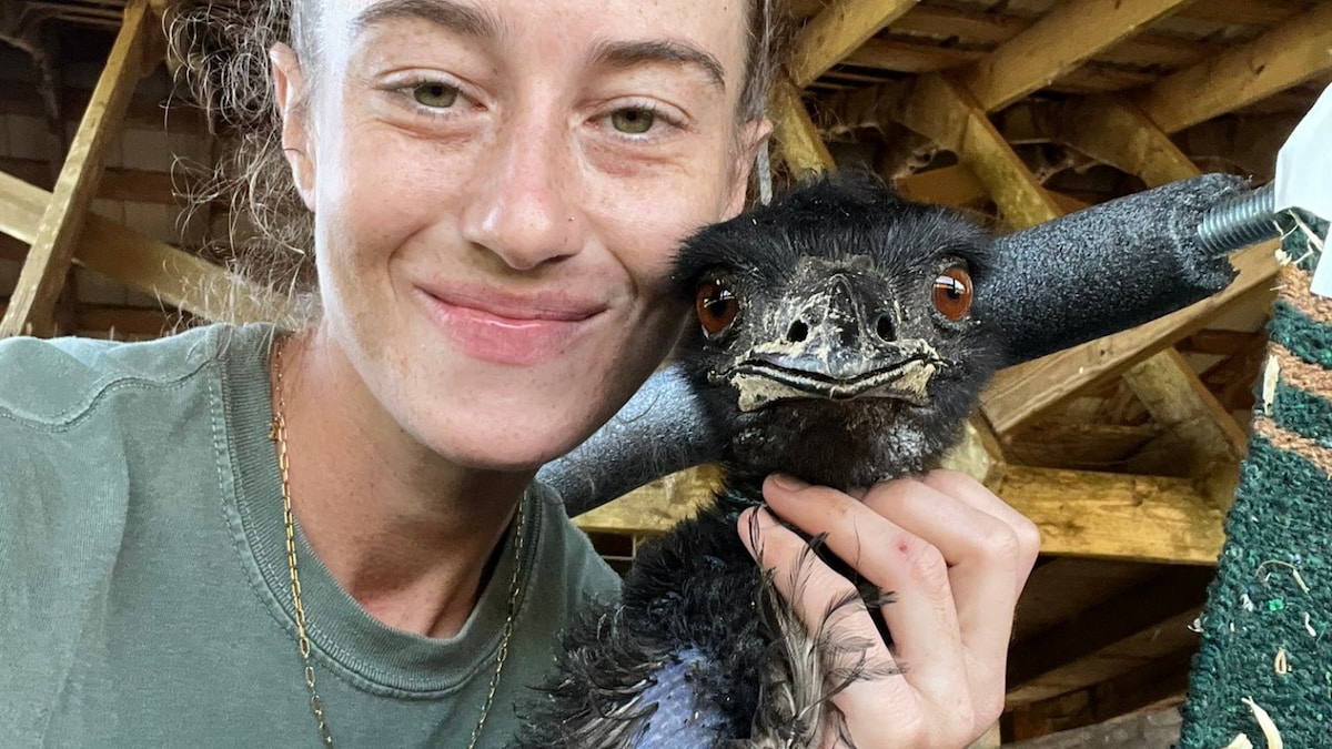 Emmanuel, Internet's Favourite Emu, Goes Down With Bird Flu; Owner Asks For Prayers