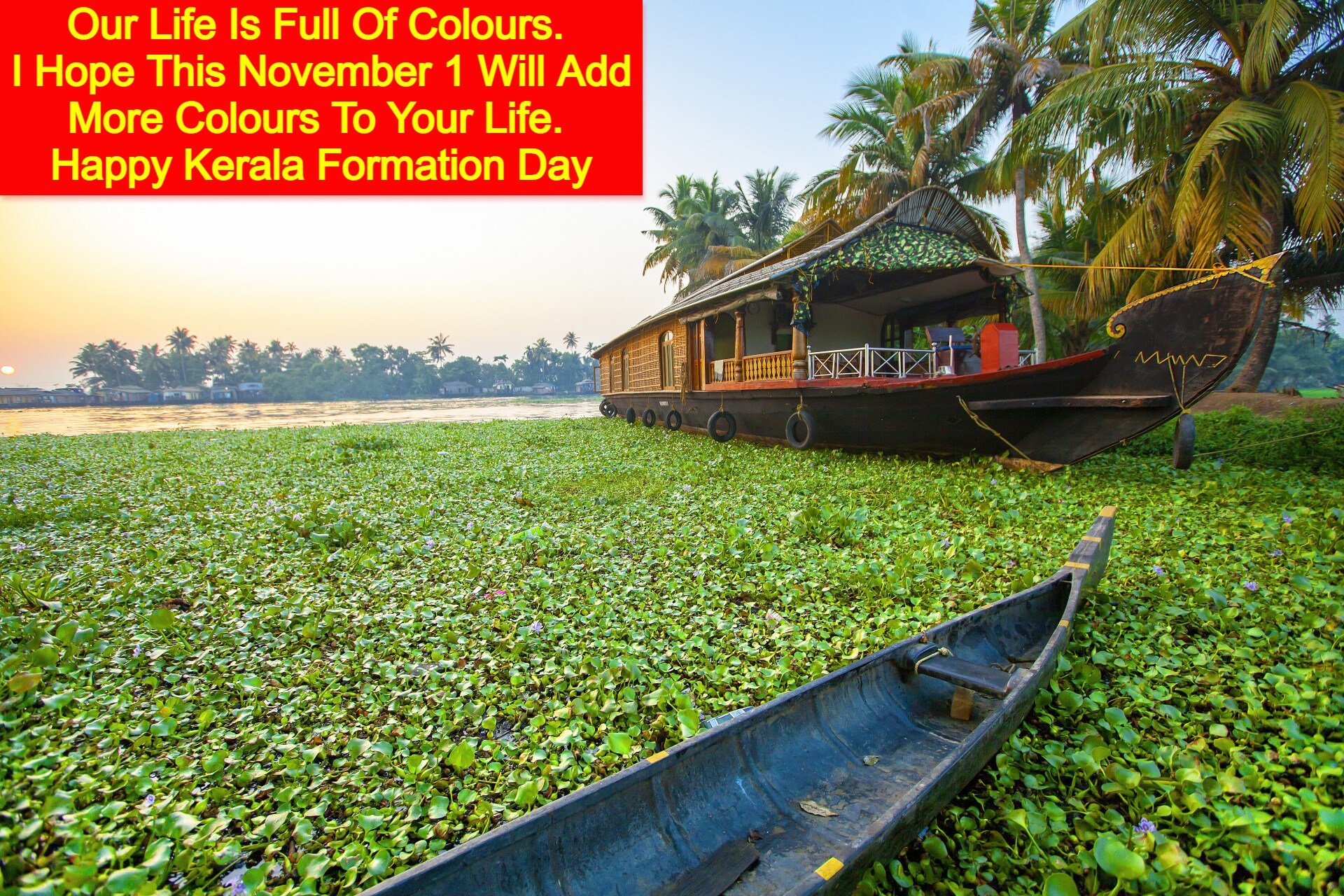 Happy Kerala Piravi 2022: Best Wishes, messages, quotes, greetings, SMS, WhatsApp and Facebook status to share with your family and friends. (Image: Shutterstock) 