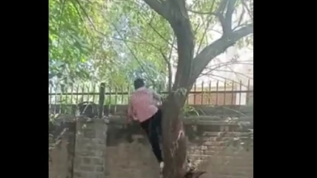 FIR Lodged Against Unidentified Men Who Climbed Walls to Enter Miranda House Fest, Harass Women