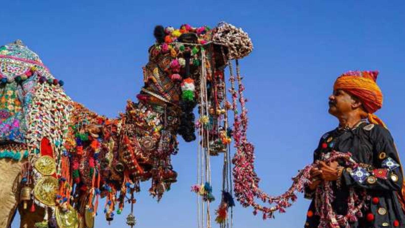 Lumpy Skin Disease: No Cattle Fest at Pushkar Fair This Year Lumpy Skin Disease: No Cattle Fest at Pushkar Fair This Year