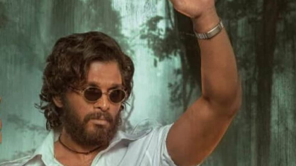 Pushpa 2: Allu Arjun Shares Big Update On Film's Release Date, Says 'Hopefully Next Year'