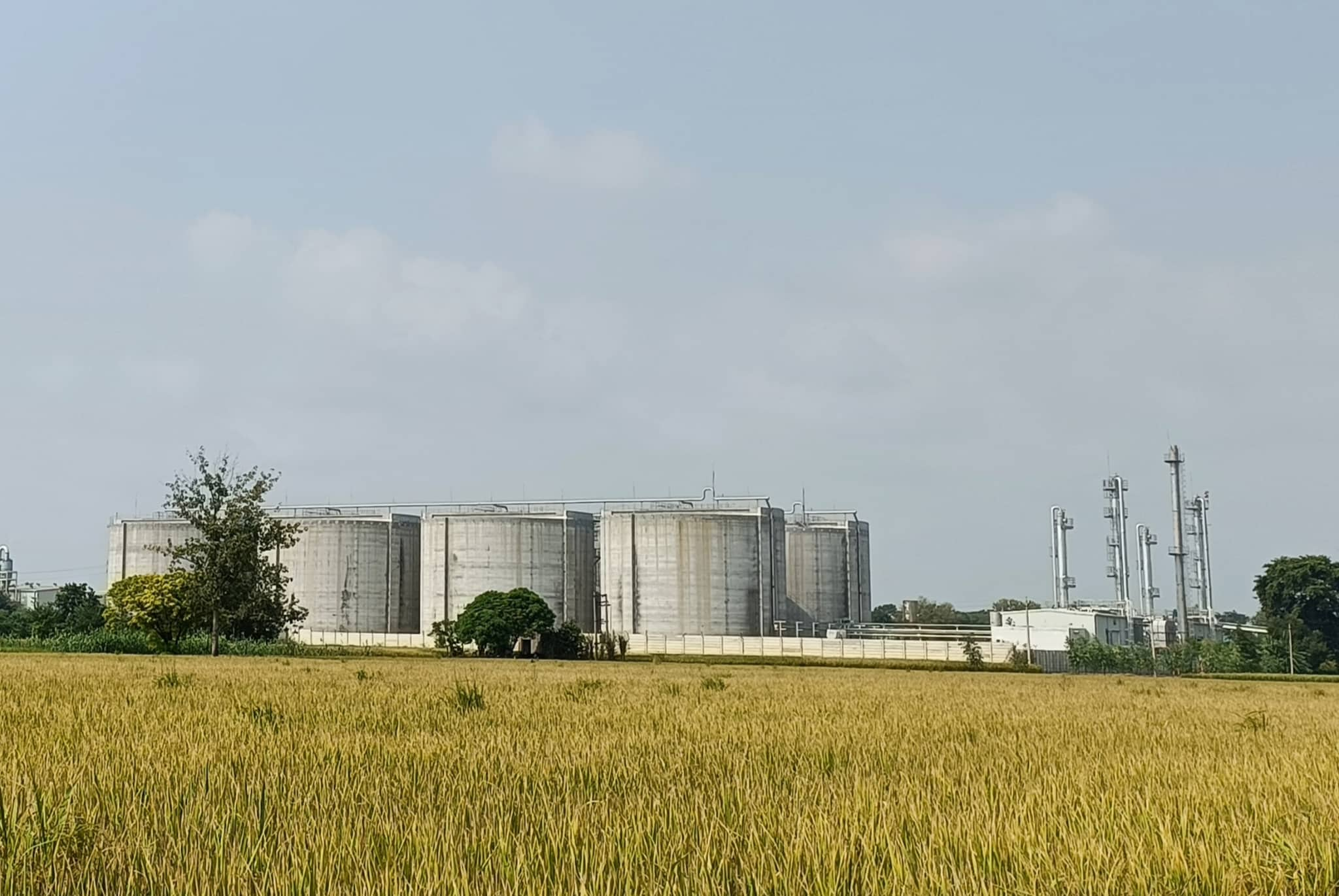 With its massive fleet of as many as 40 tractors, and a host of machinery --- including rakers, tedders, bailers and trolleys --- the plant in Bhutal Kalan village of Sangrur is planning to process nearly 70,000 tons of paddy straw this harvesting season. (News18) 