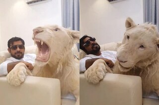 Here's How They Made The 'Roars' In The Lion King