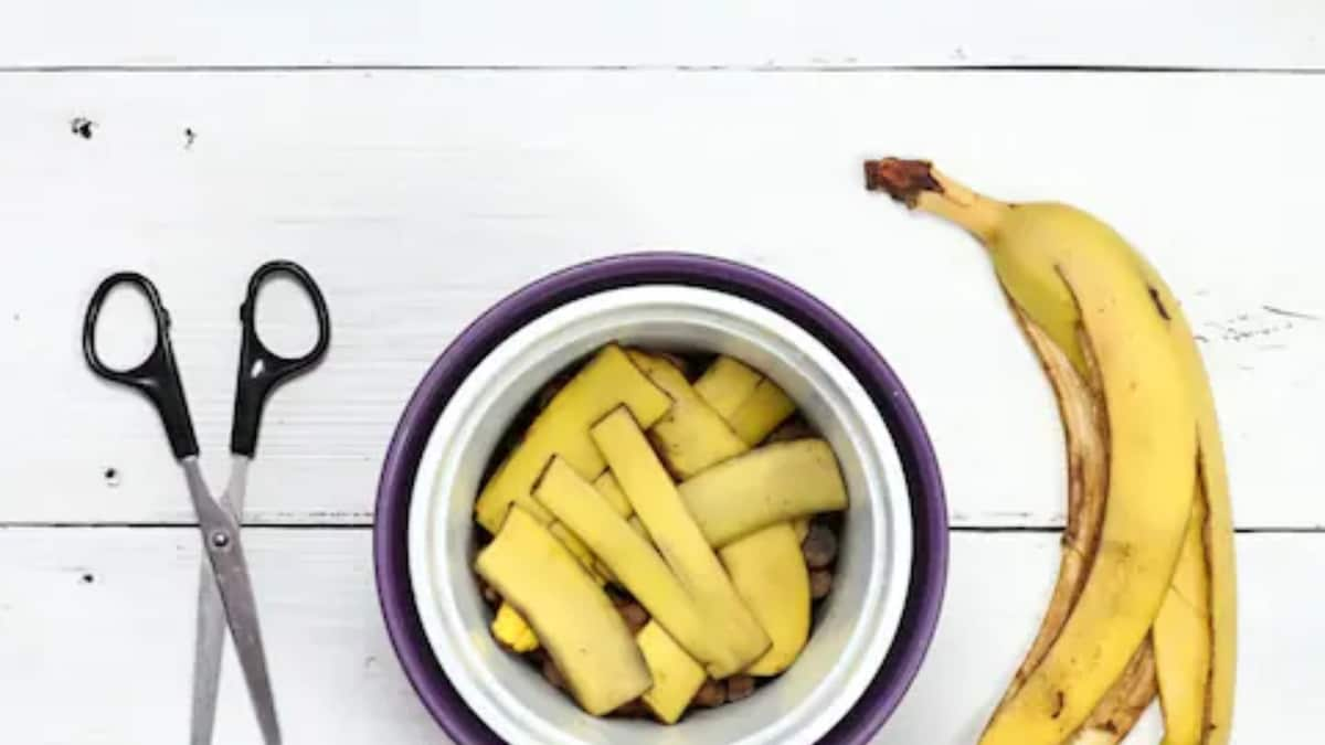 Nutritional and Health Benefits of Banana Peel We Bet Nobody Ever Told You