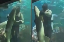 Watch: Video of Man Dancing Underwater With a Shark is Viral For All The Right Reasons