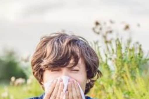 People with asthma are at greater risk during the pollen season. (Image: Shutterstock)