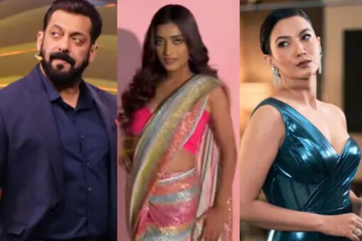 Bigg Boss 16: Manya Singh Draws Flak For 'TV Actress' Comment; Know ...