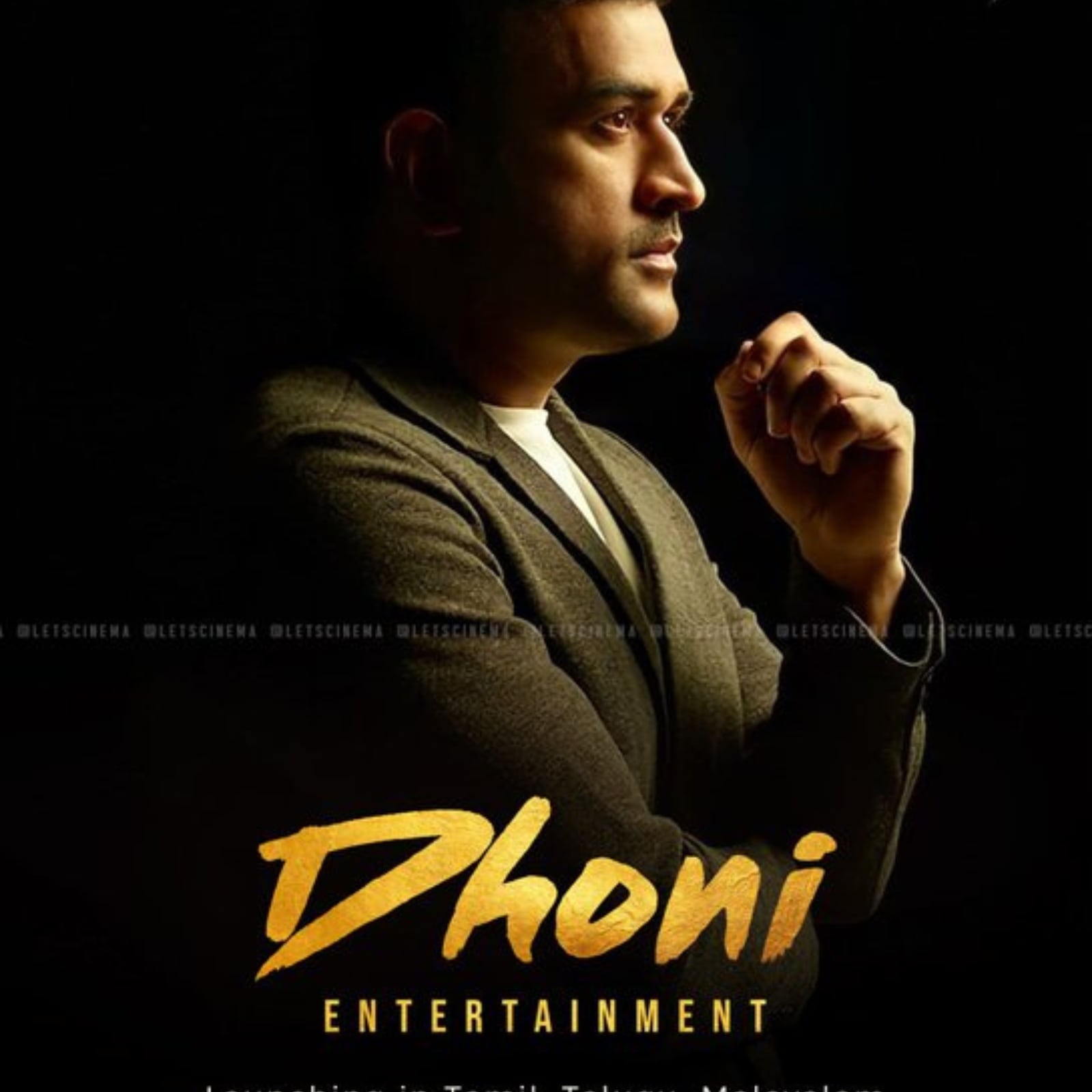 Mahendra Singh Dhoni To Produce South Indian Films Under This Banner