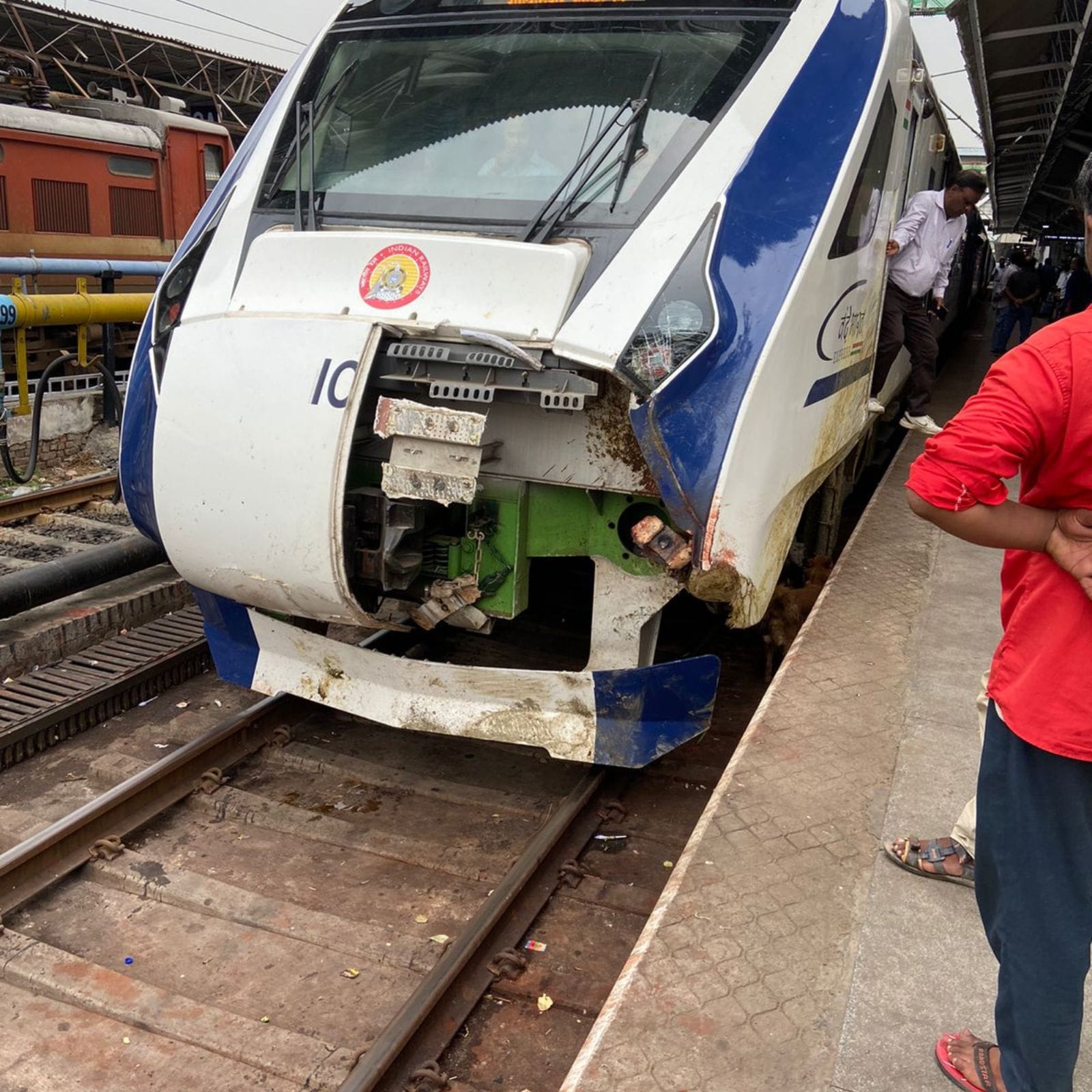 Vande Bharat: Railways to Spend Rs 264 Crore to Build Fences Along Mumbai-Ahmedabad Route to Stop Animal Hits Vande Bharat: Railways to Spend Rs 264 Crore to Build Fences Along Mumbai-Ahmedabad Route to Stop Animal Hits