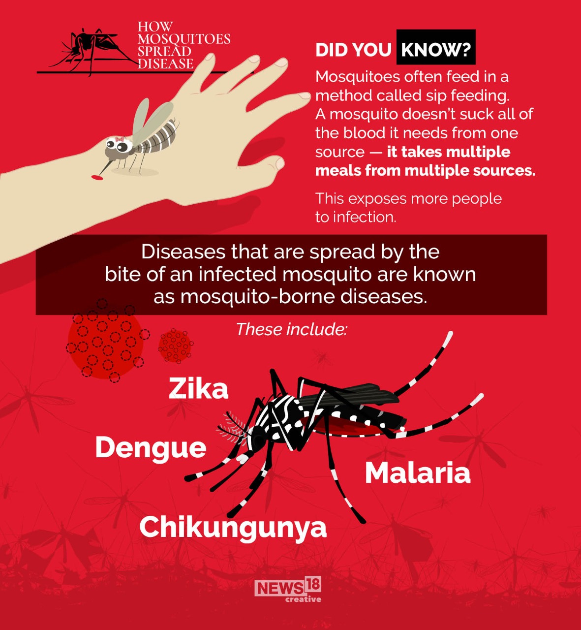 Ever Wondered How Mosquito Bites Can Harm You? Here's How News18
