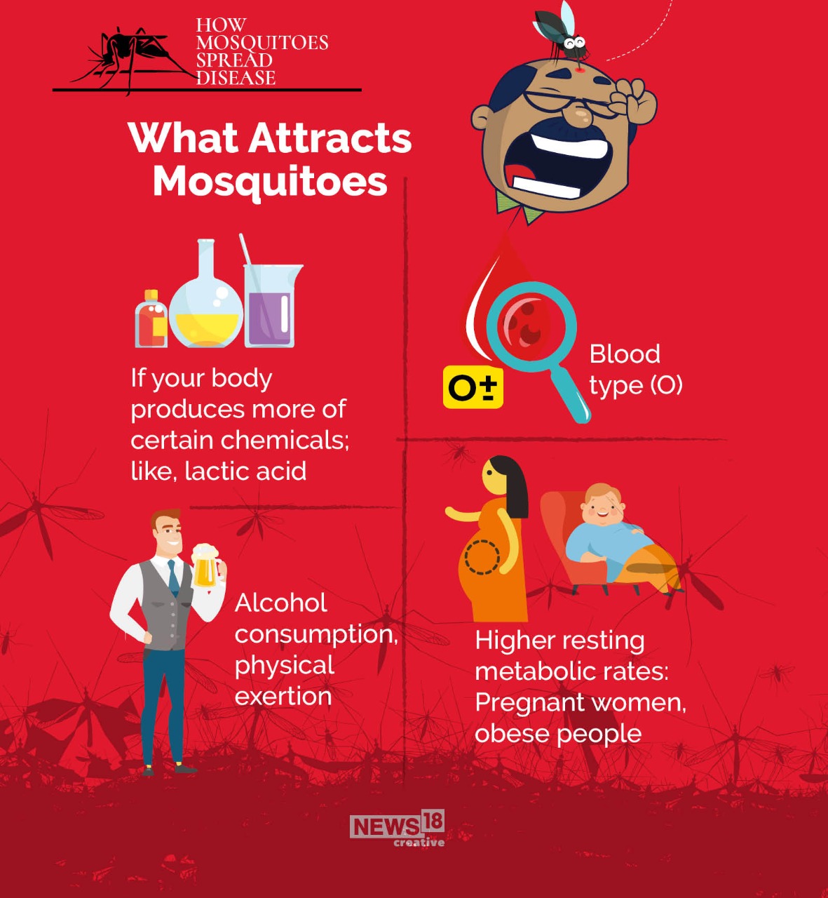 Ever Wondered How Mosquito Bites Can Harm You? Here's How News18
