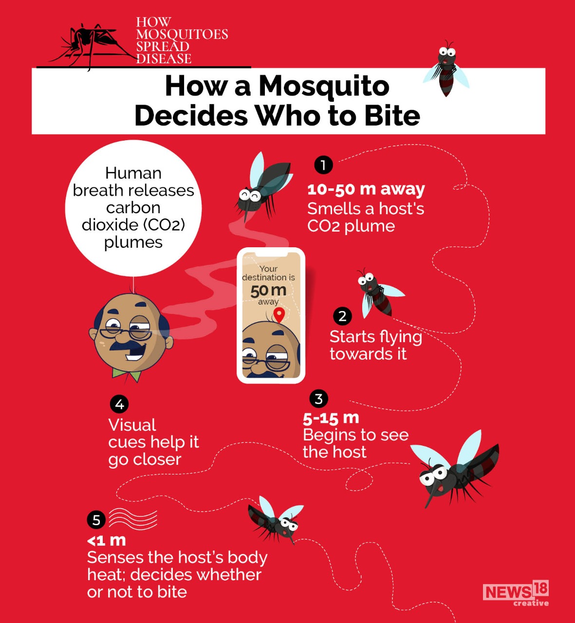 Ever Wondered How Mosquito Bites Can Harm You? Here's How News18