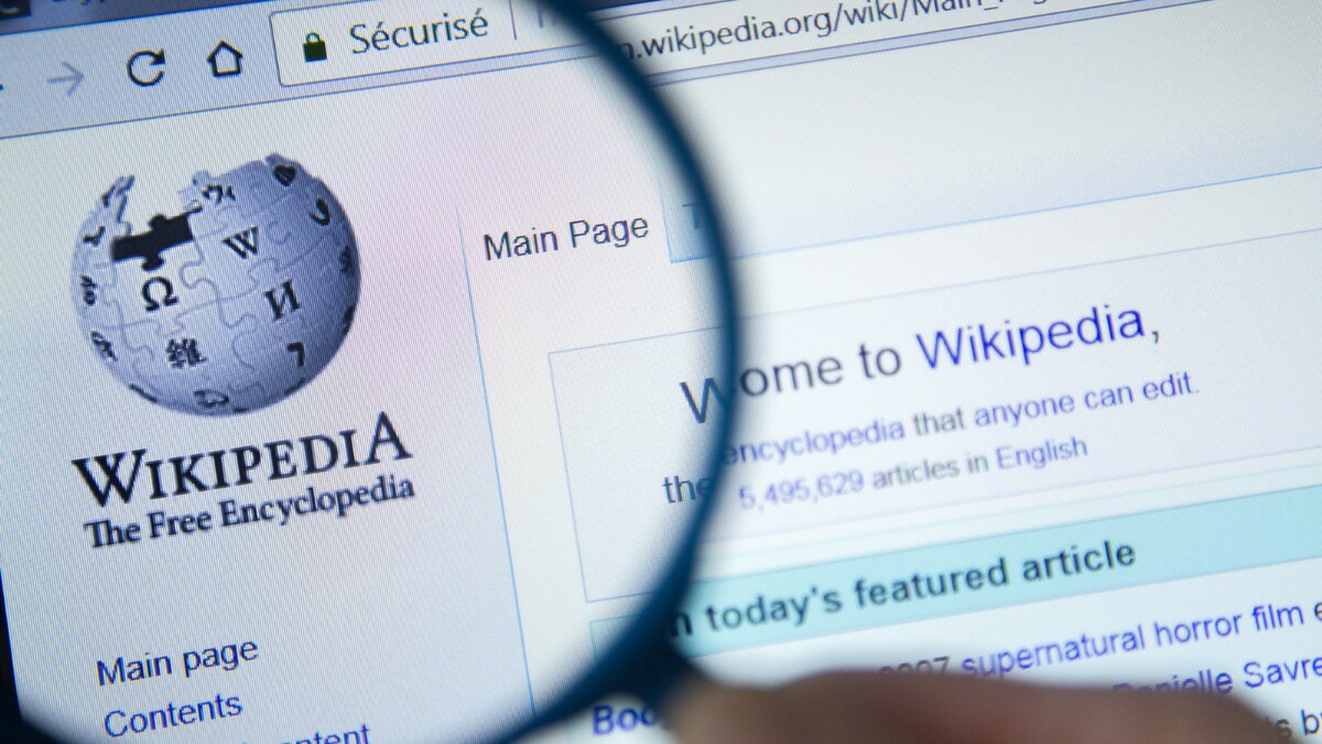 Page Not Found: Why I Sued Wikipedia