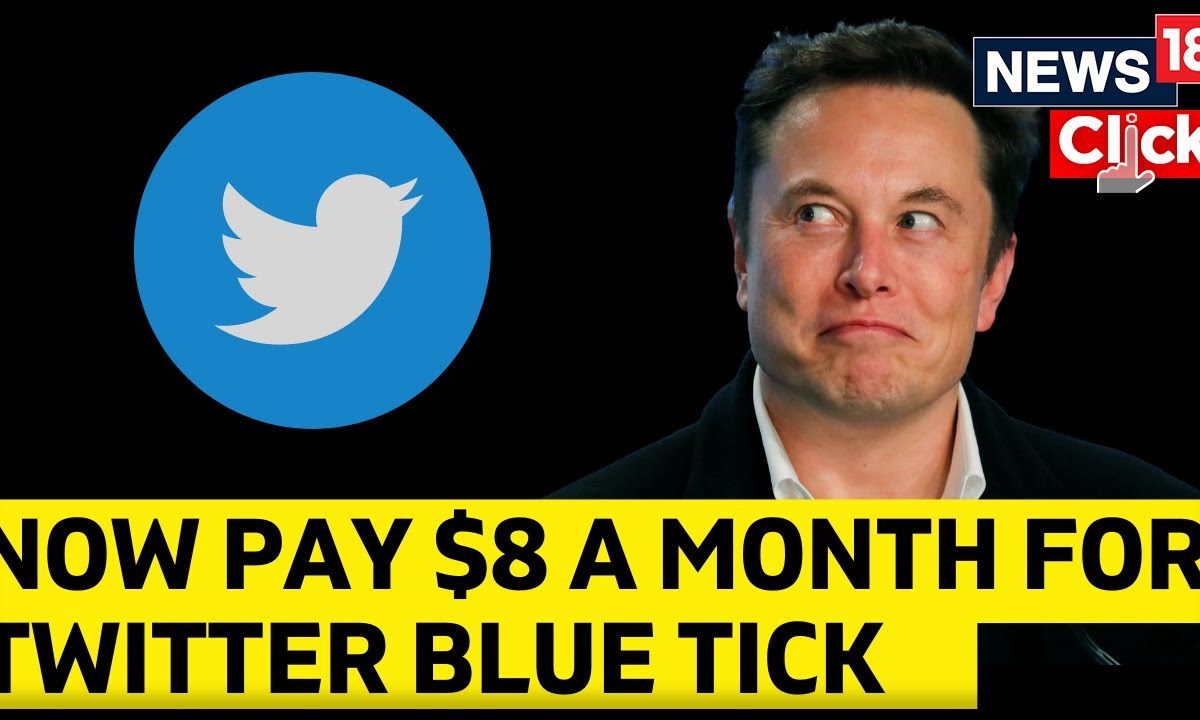 Twitter Elon Musk Blue Tick Blue Tick Verification Now Paid Twitter Update 2022 Elon Musk 8536