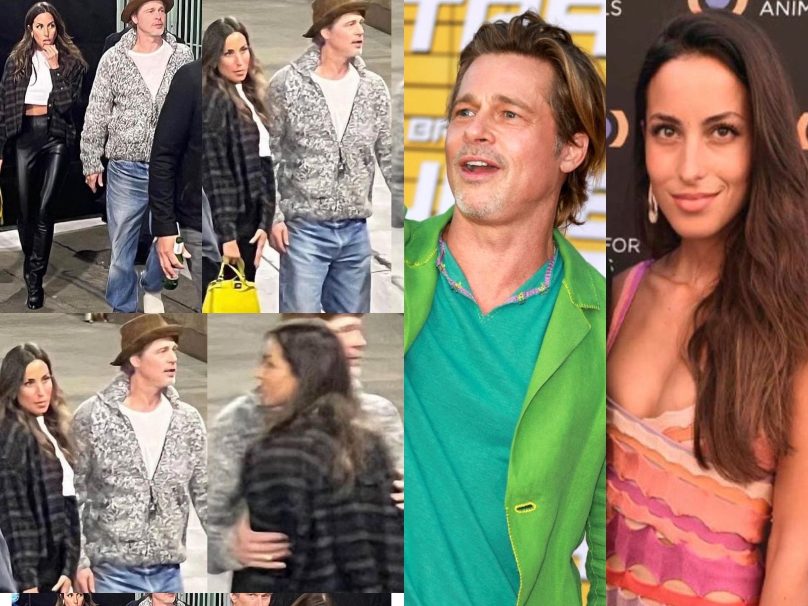 Brad Pitt Dating Paul Wesley's Ex-wife Ines de Ramon for 'Few