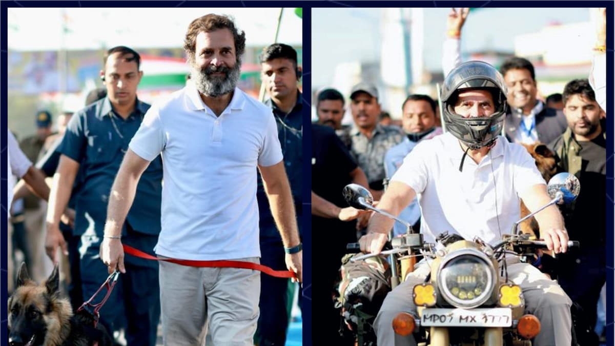 From Walking With Pawsome Friend To Riding A Bike, A Peek into Rahul Gandhi's Bharat Jodo Yatra