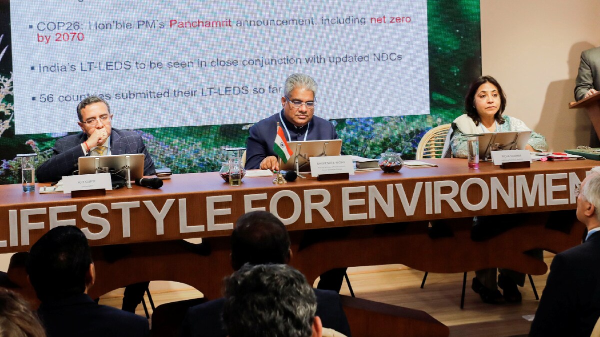 COP27: India Resists Calls to Raise Ambitions, Says Rich Nations Must Reach Net Zero Before 2030